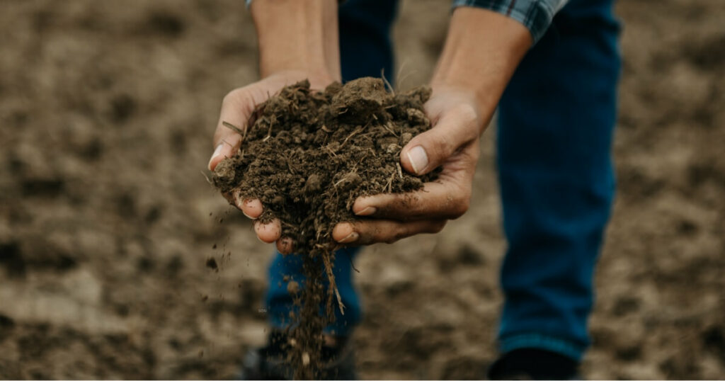 holding dirt from tilled soil