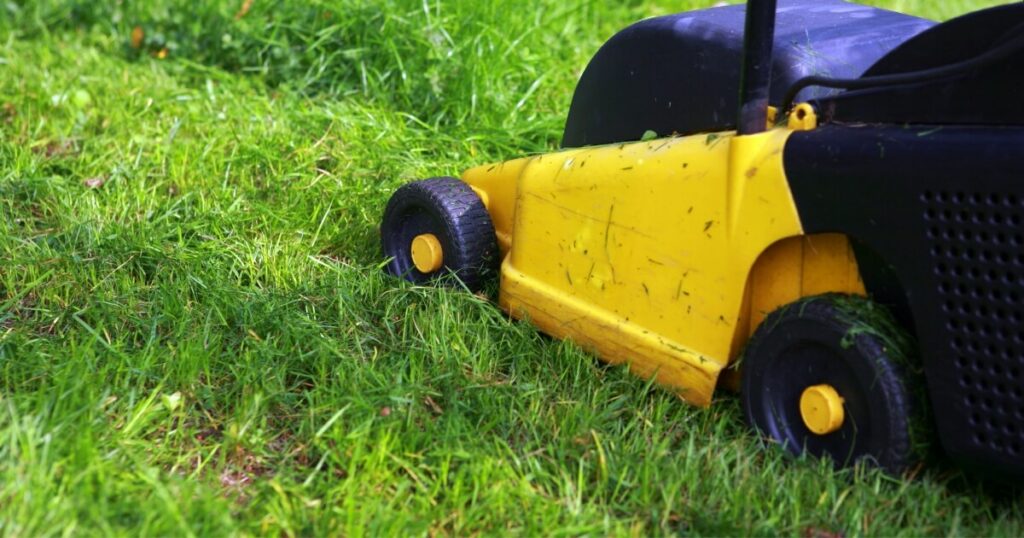 mowing long grass with electric mower