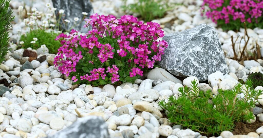 rock garden with flowers