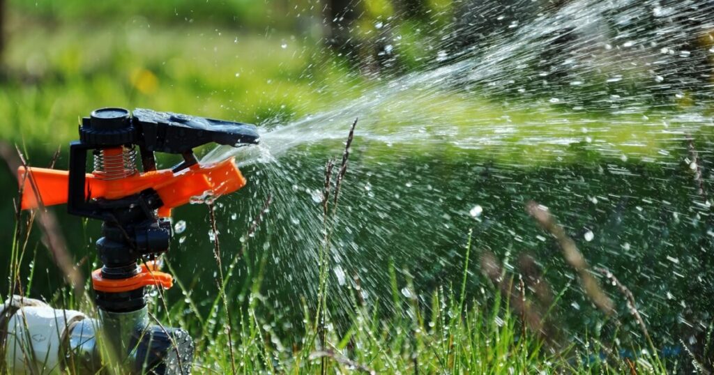 watering grass with a sprinkler