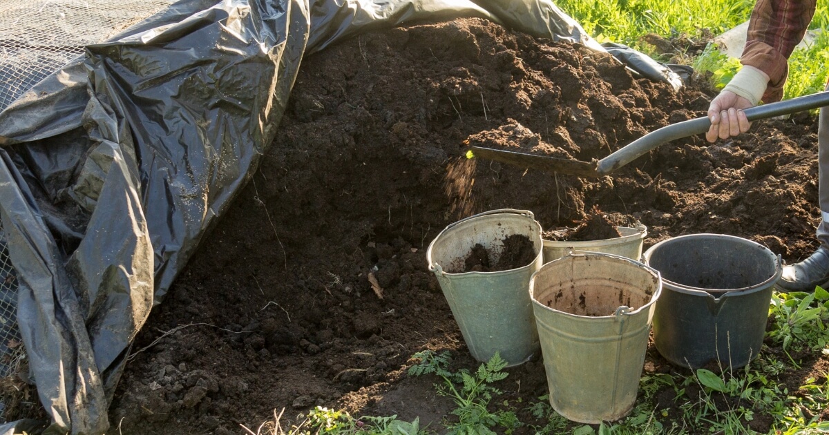 where to get free compost