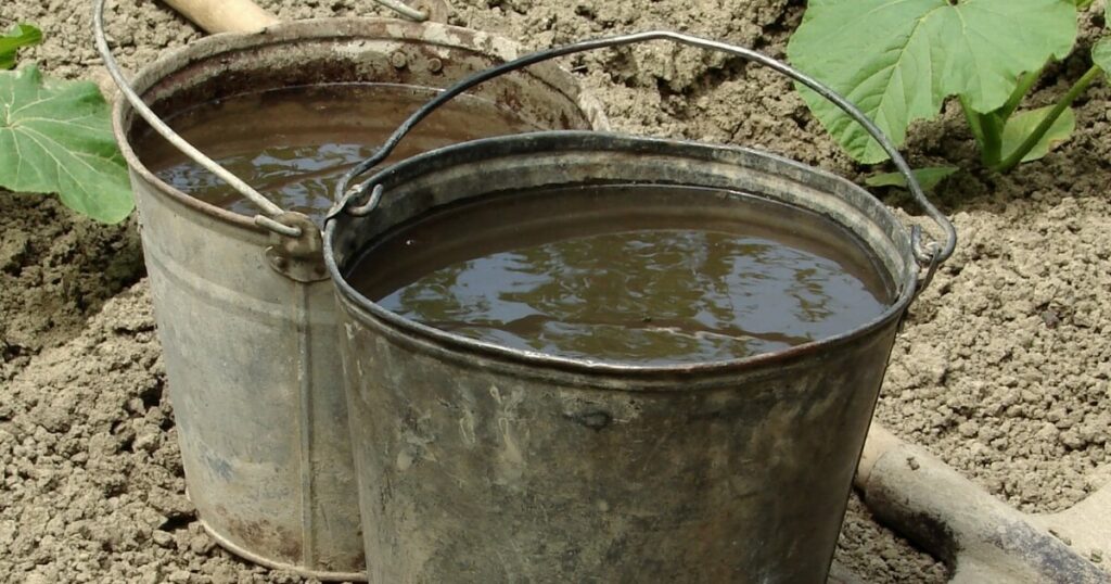 add water to compost tea bucket