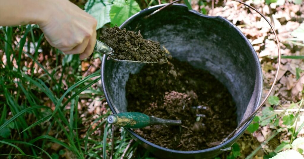 adding finished compost to bucket