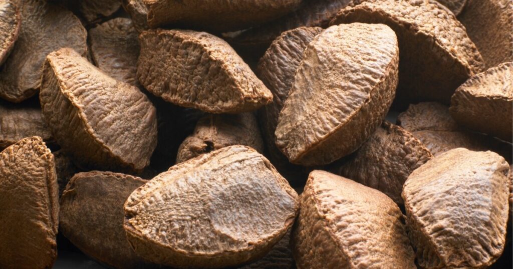 brazil nut shells for composting