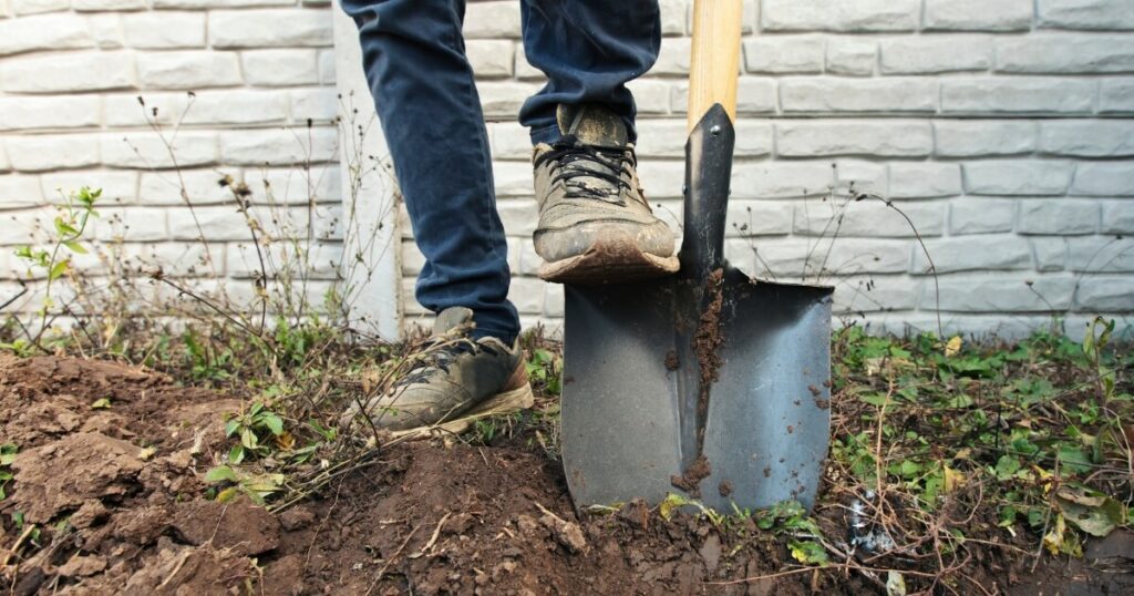 digging garden with foot on shovel