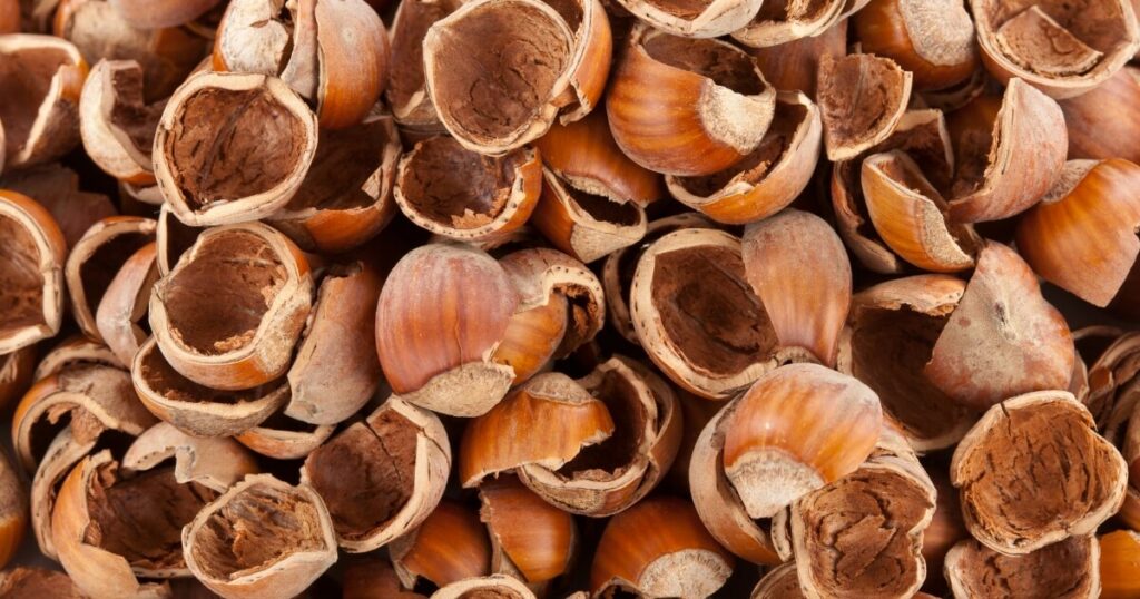 hazelnut shells for composting