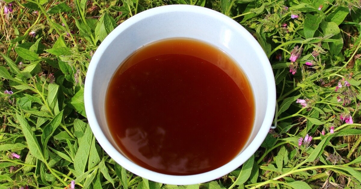 how to make compost tea for plants