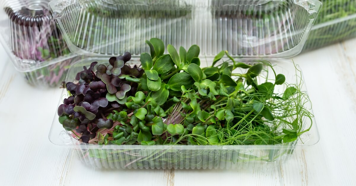 how to store microgreens