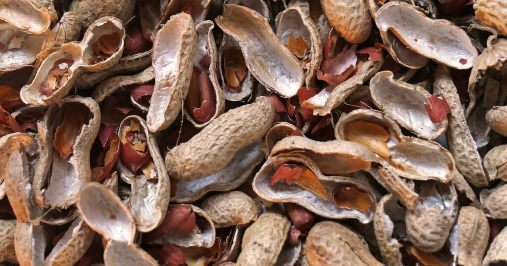 peanut shells for composting