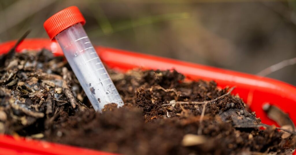 sample tube in compost